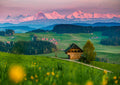 Emmental #1
