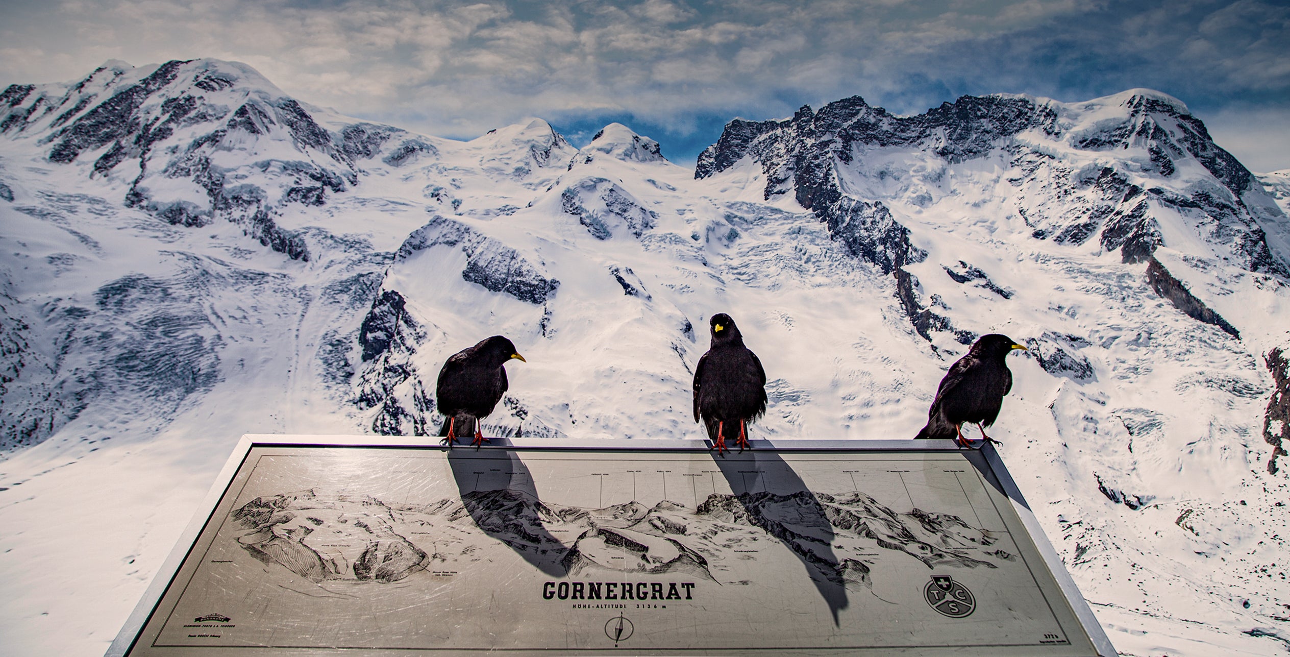 Gornergrat #3