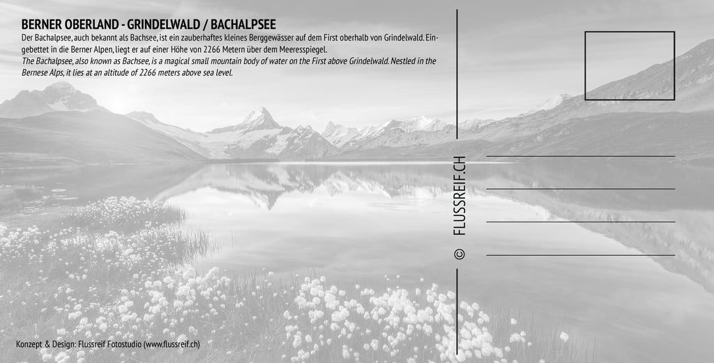 Grindelwald #10