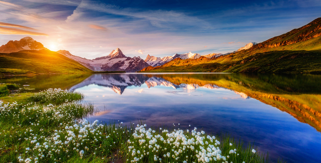 Grindelwald #10
