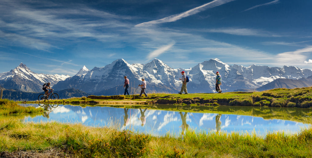 Grindelwald #11