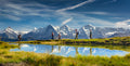 Grindelwald #11