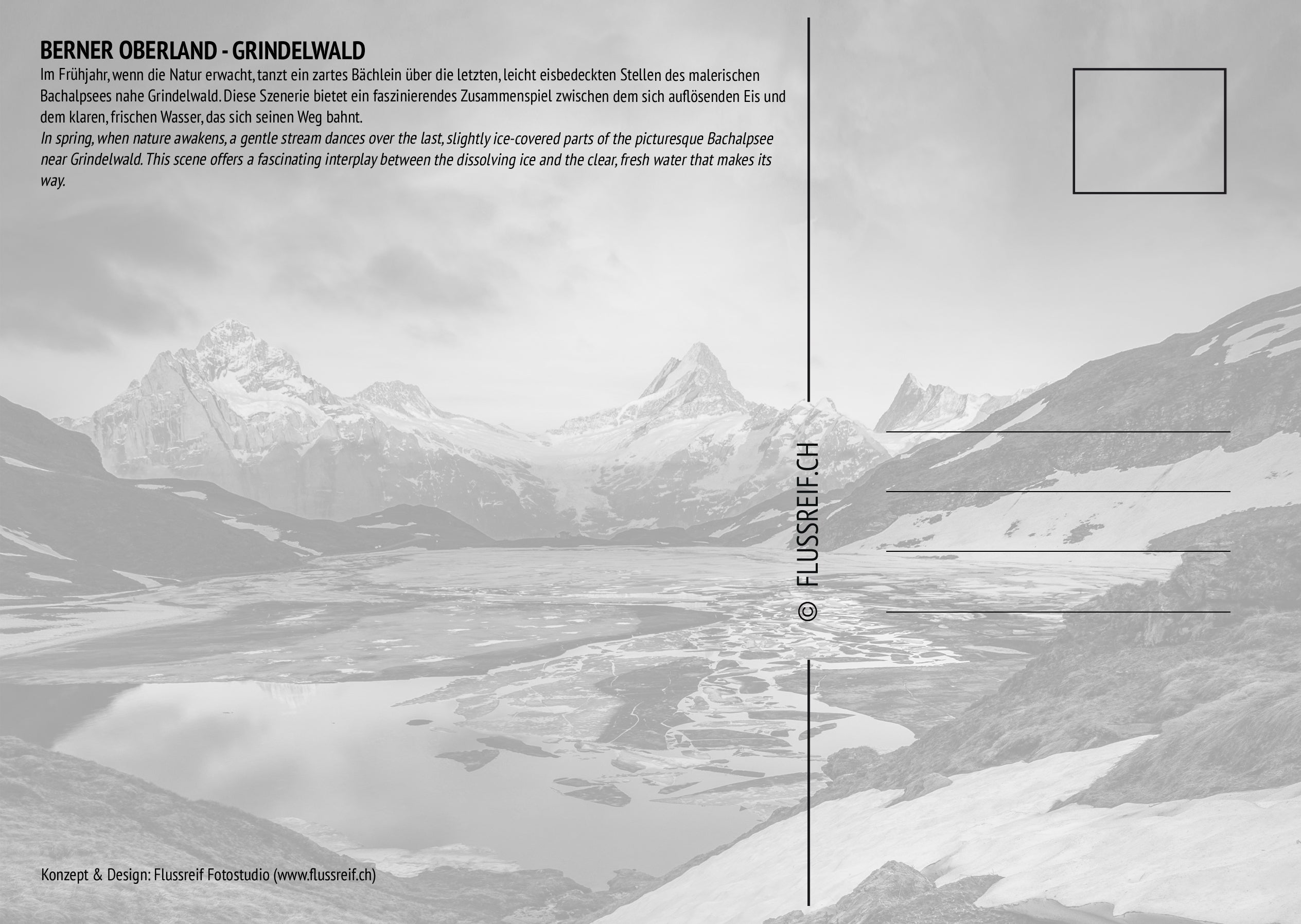 Grindelwald #1