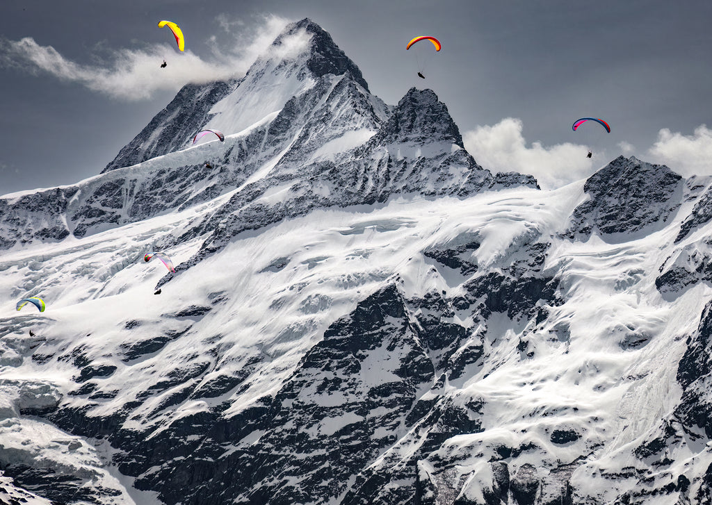 Grindelwald #2