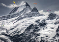 Grindelwald #2