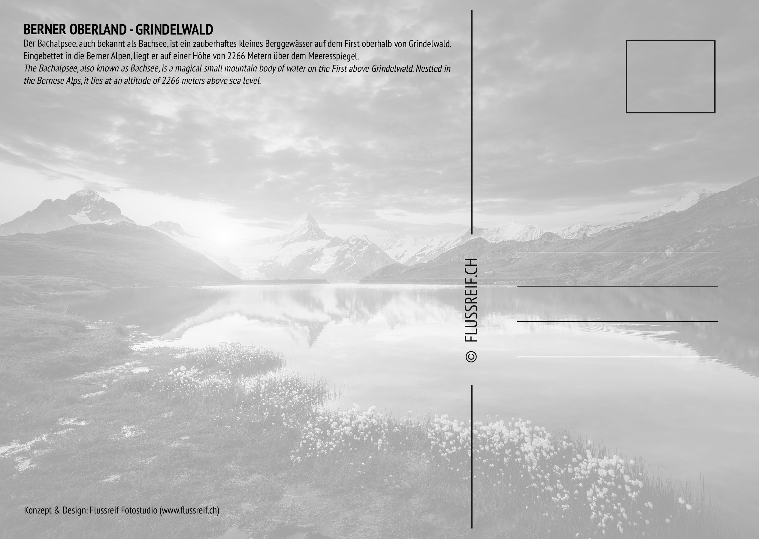 Grindelwald #3