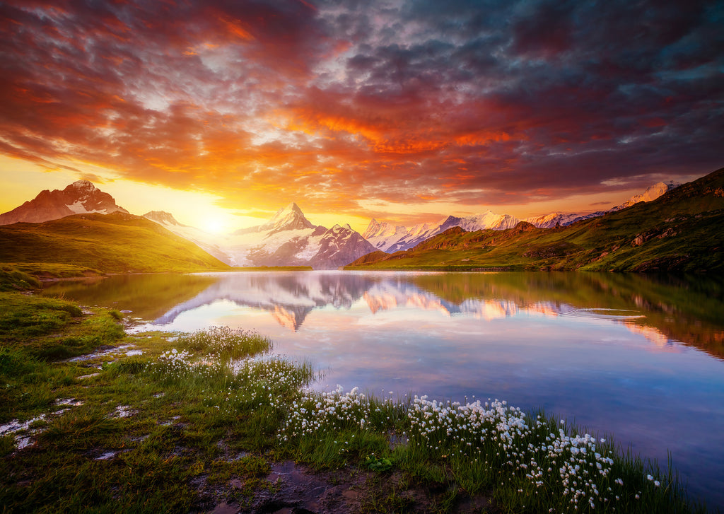 Grindelwald #3