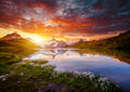 Grindelwald #3