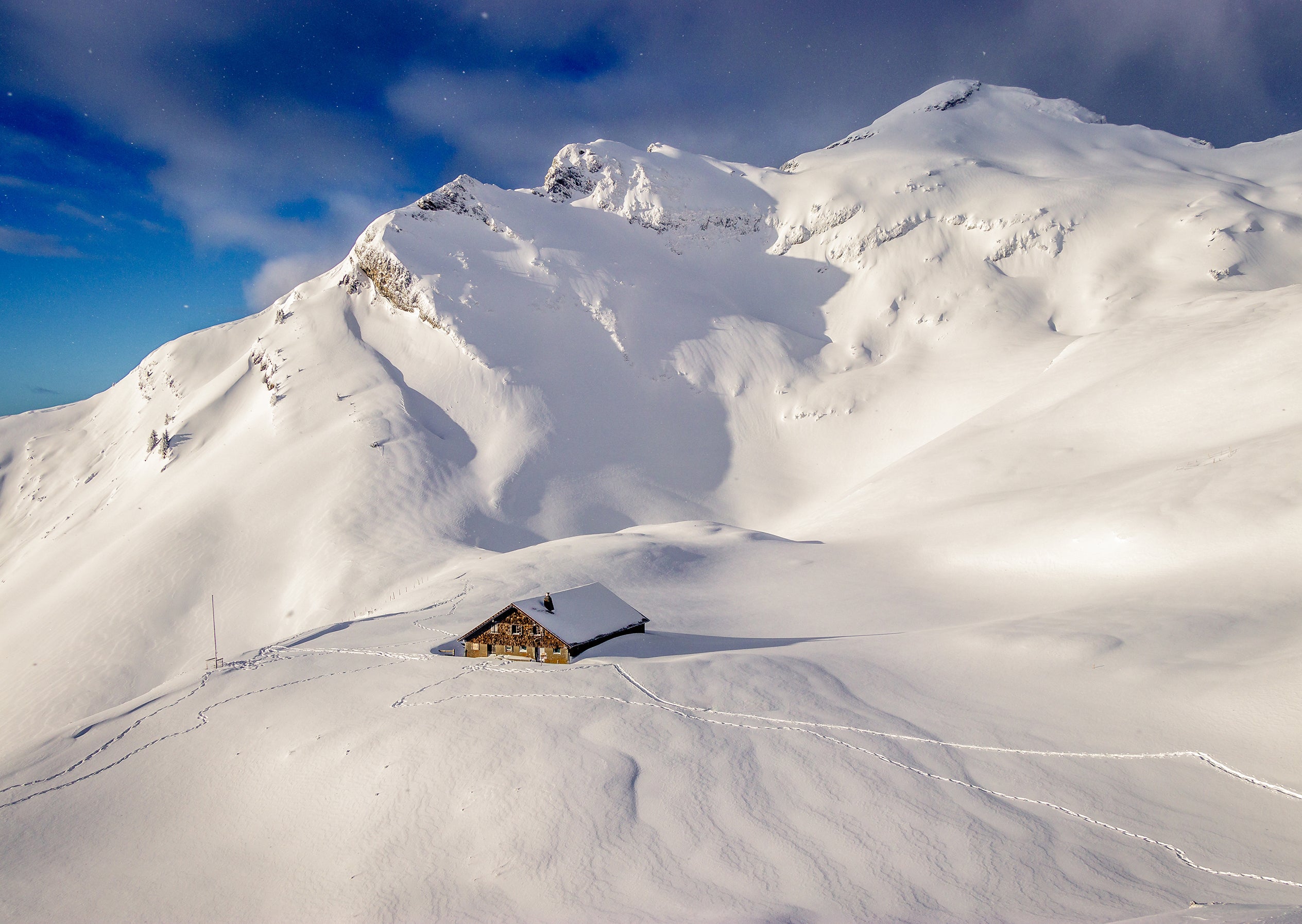 Grindelwald #4