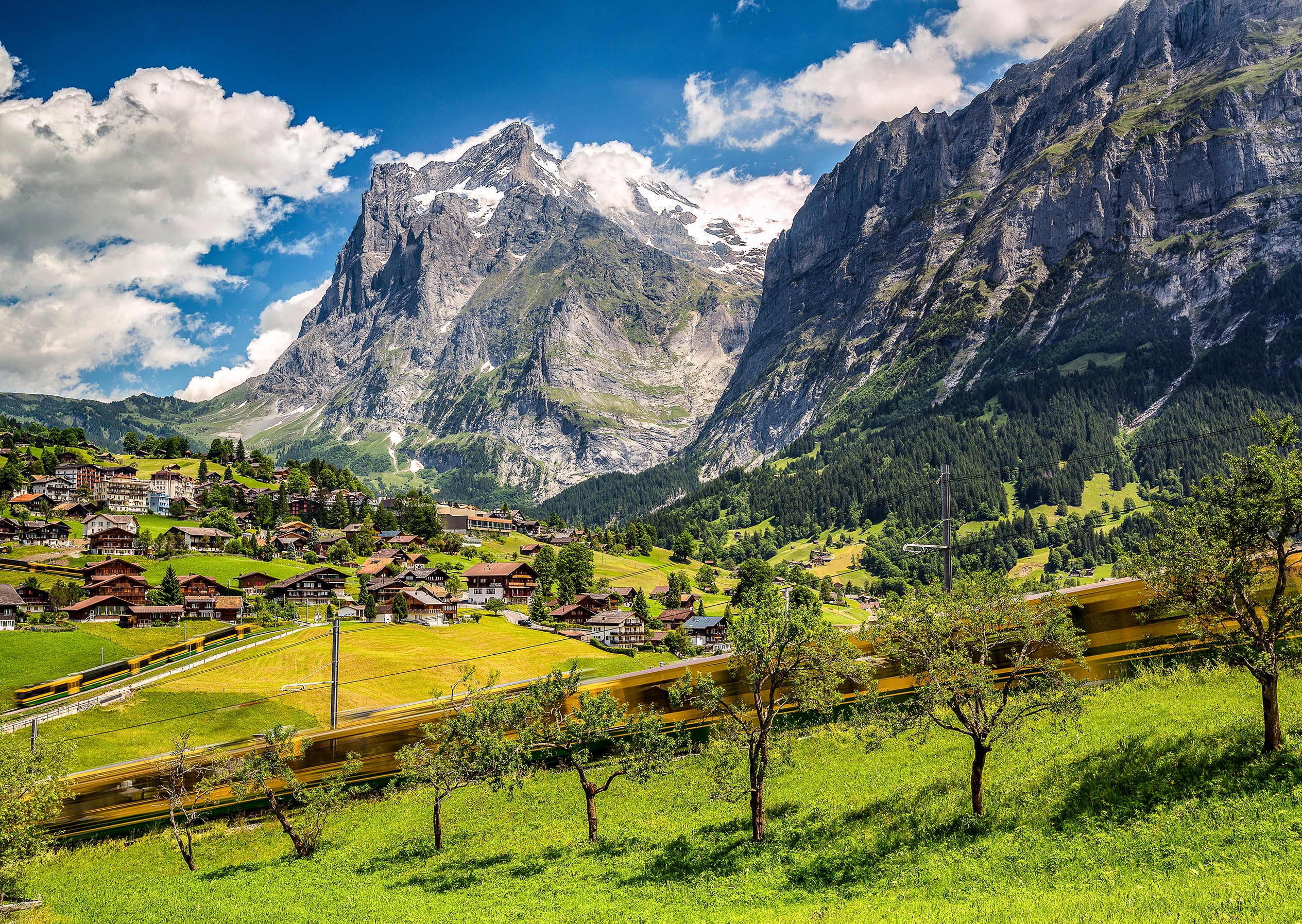 Grindelwald #5