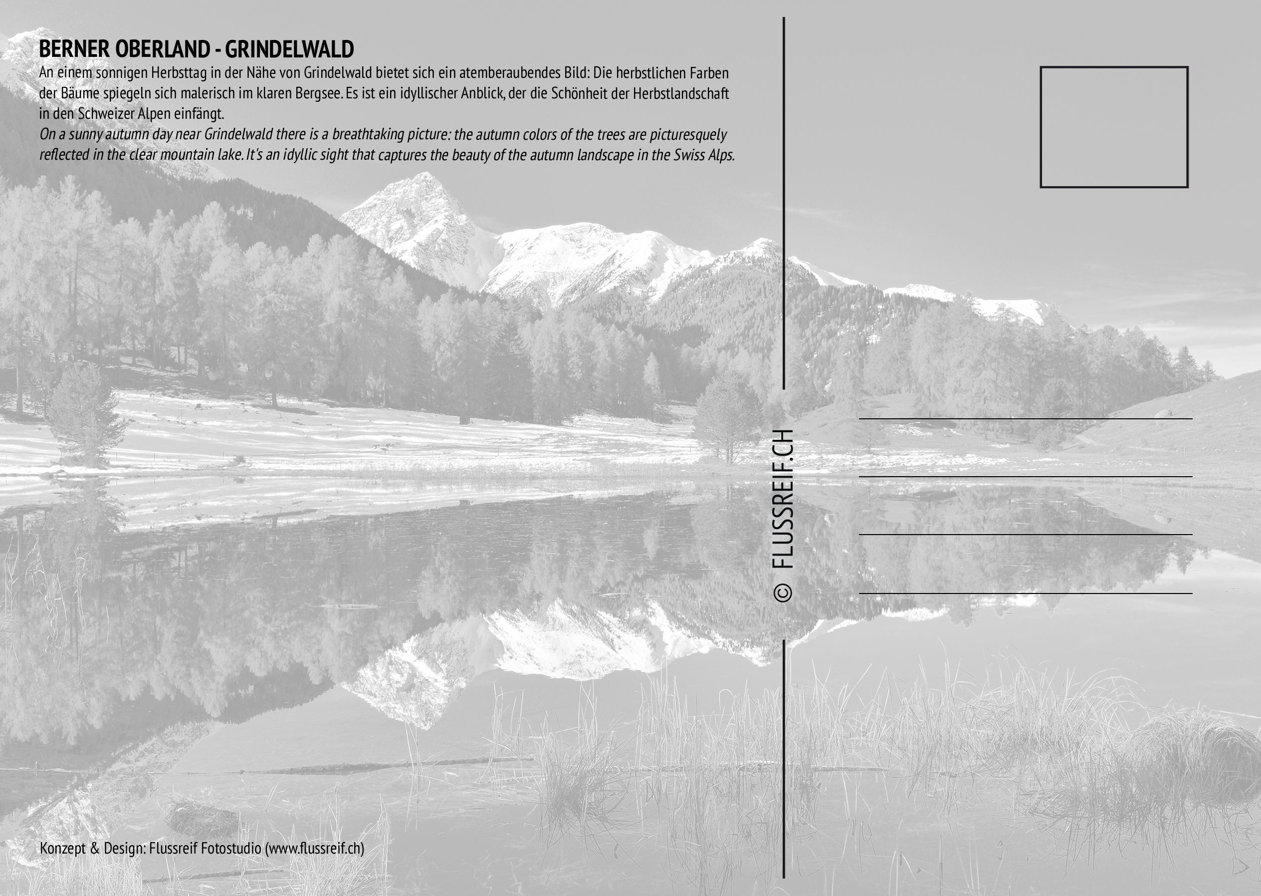 Grindelwald #6