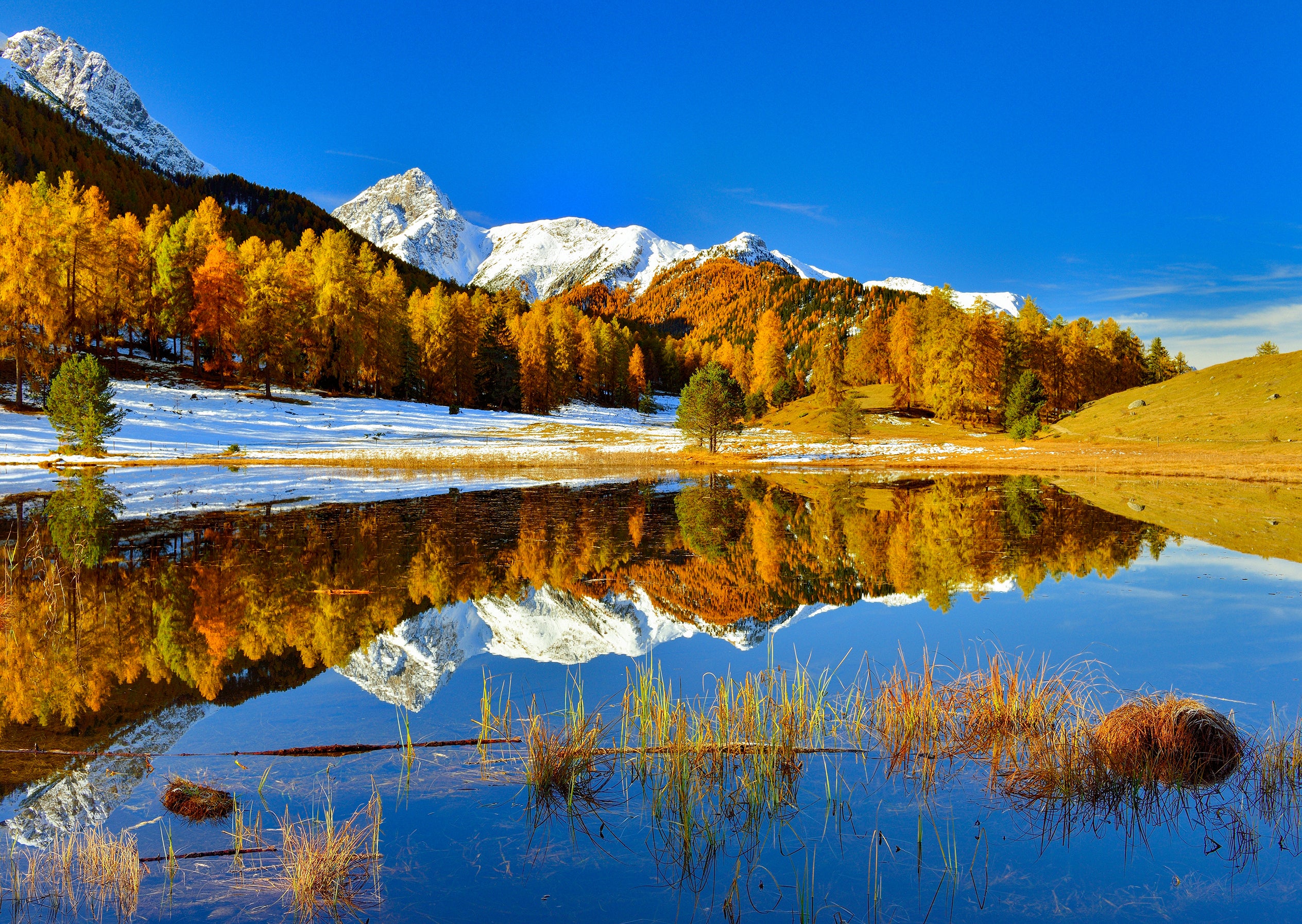 Grindelwald #6