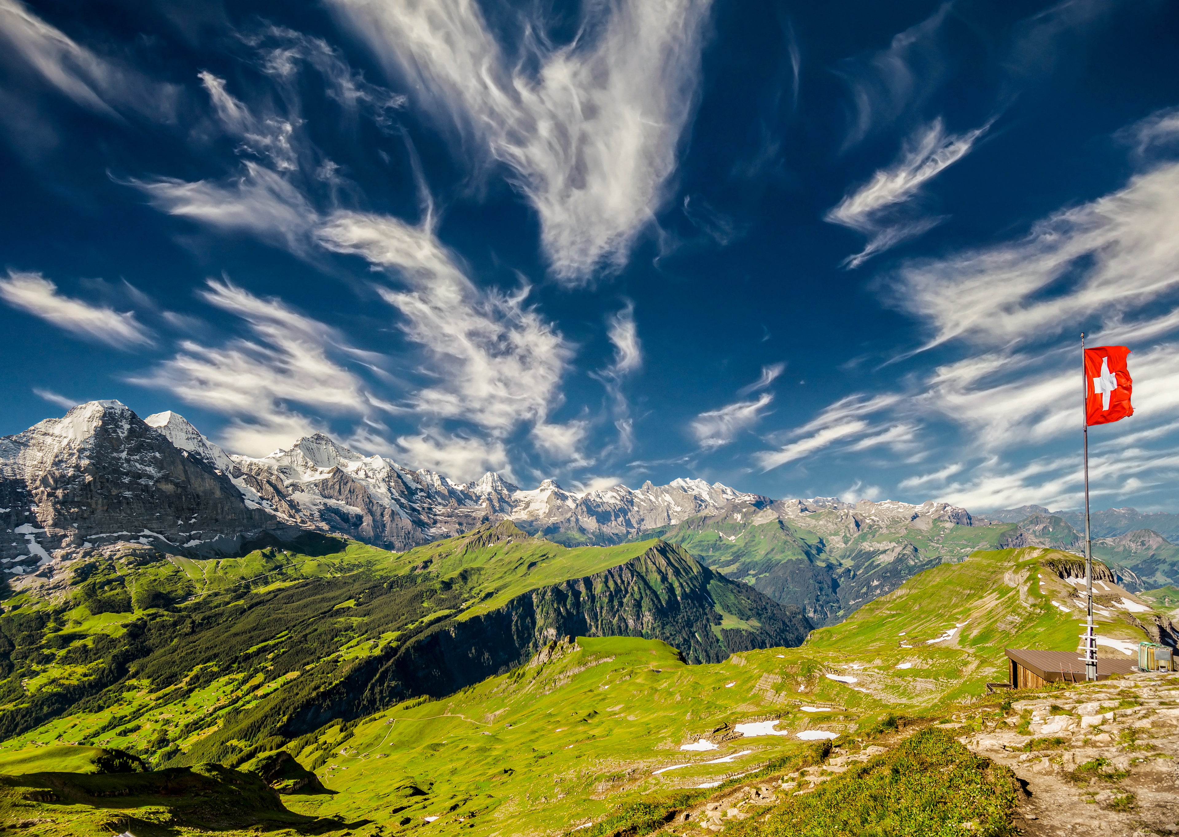 Grindelwald #7