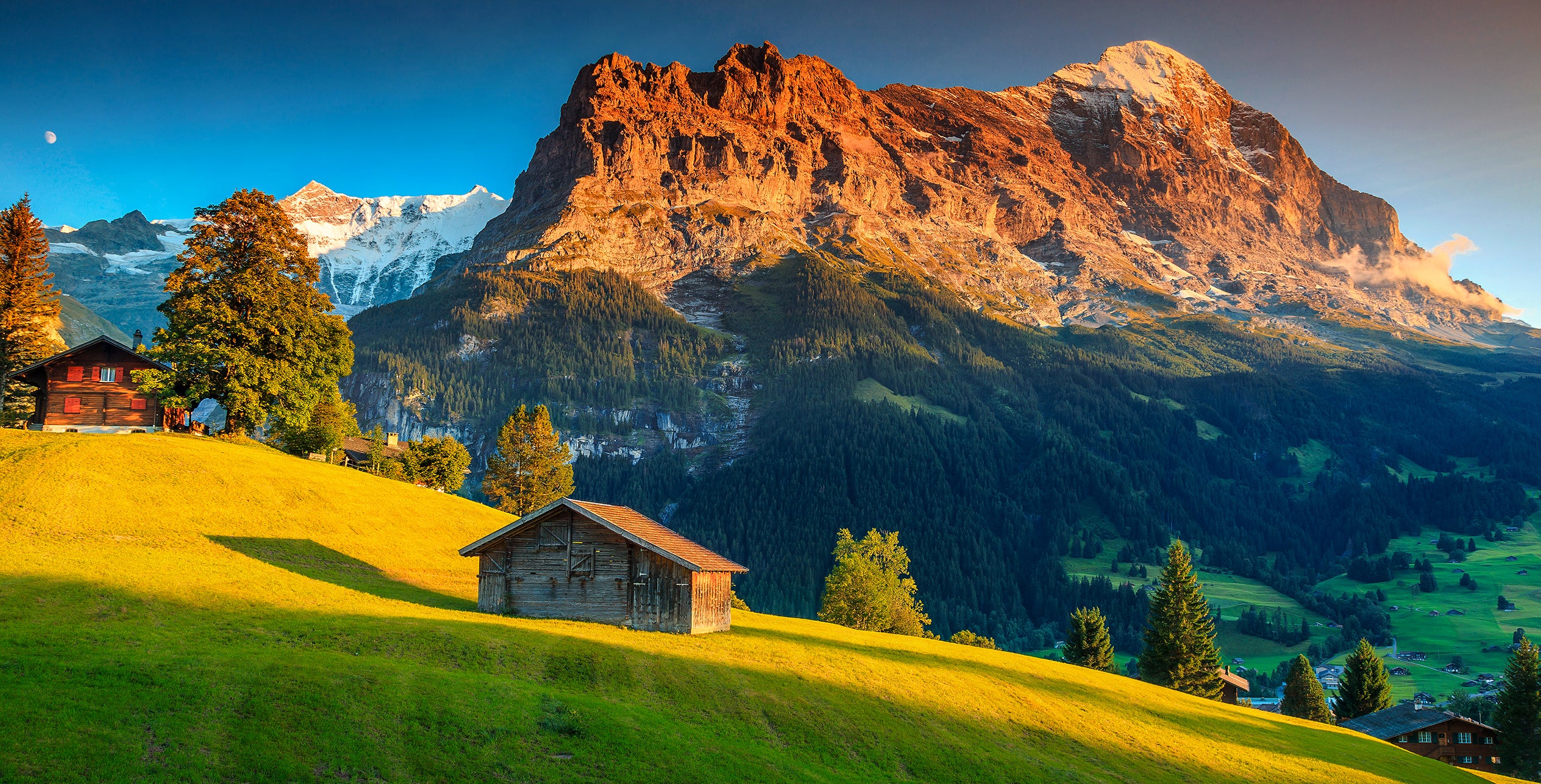 Grindelwald #8