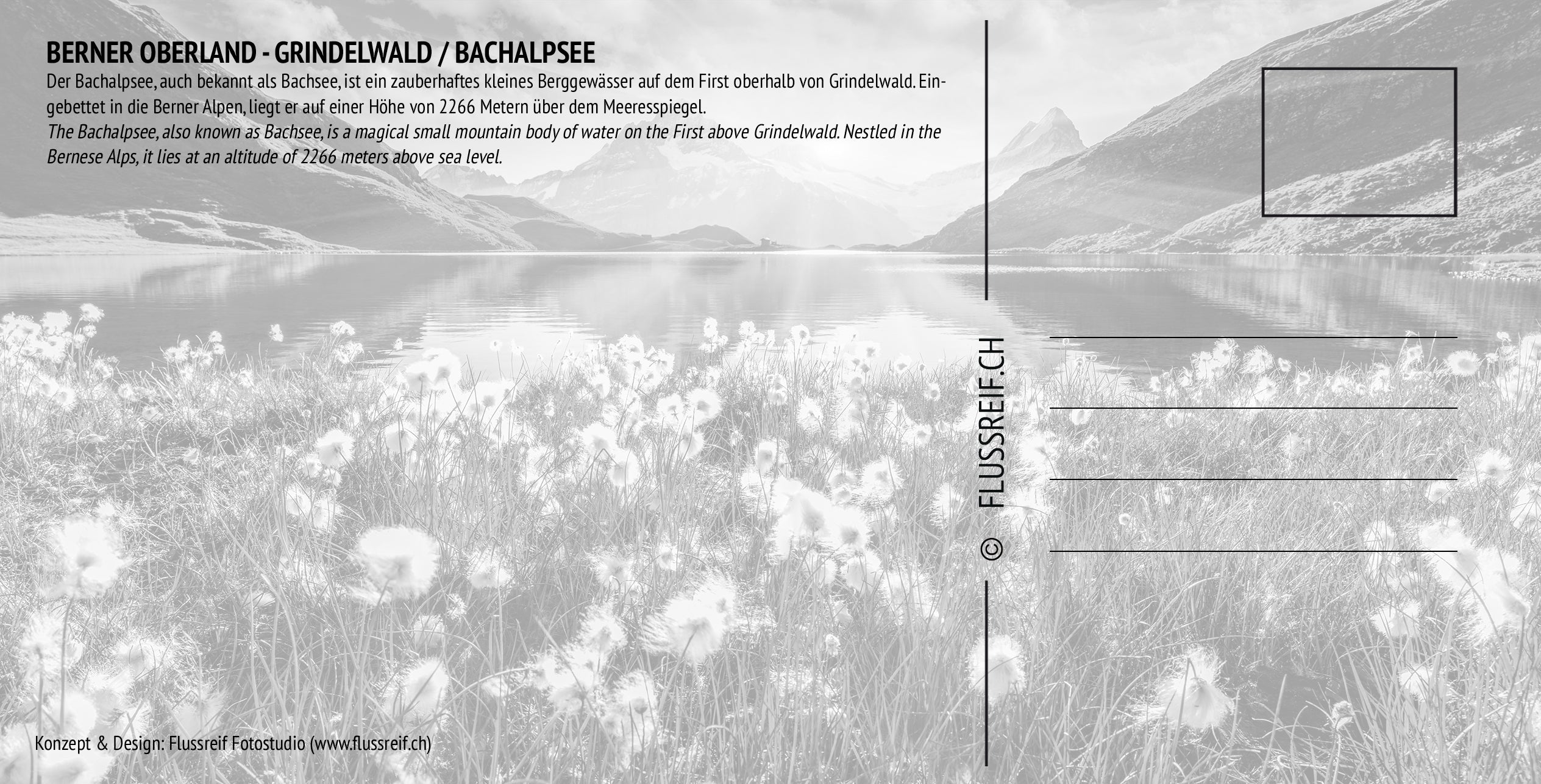 Grindelwald #9