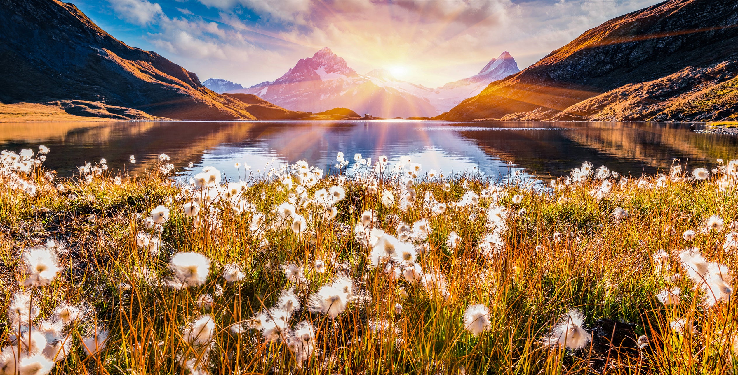 Grindelwald #9