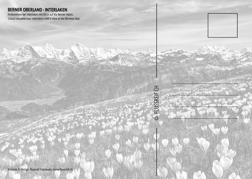 Interlaken #1