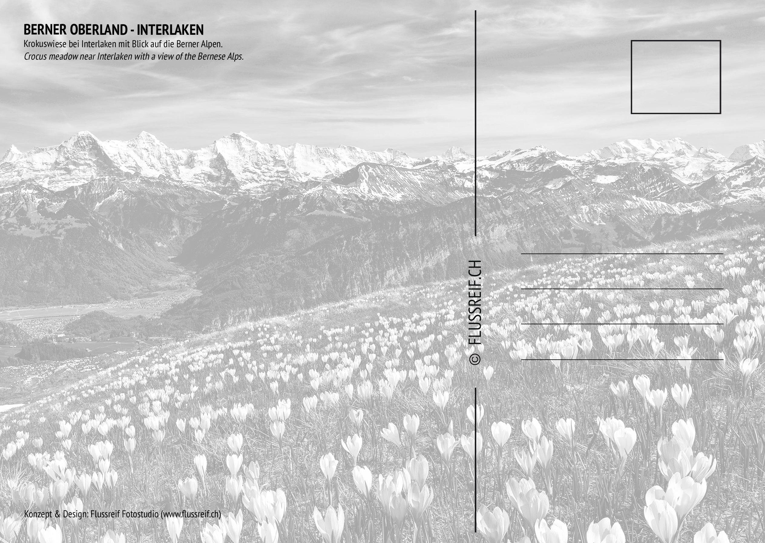 Interlaken #1