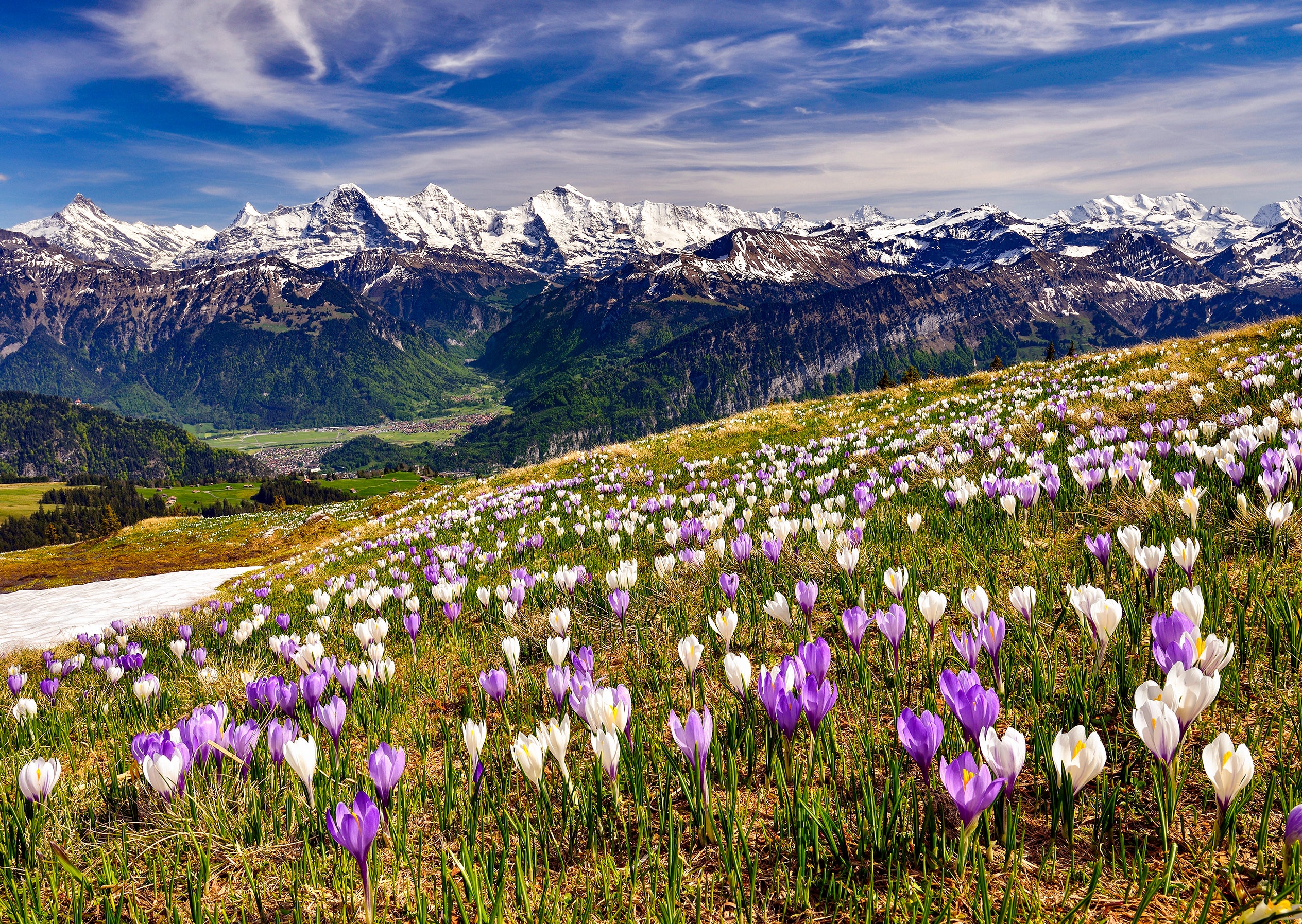 Interlaken #1