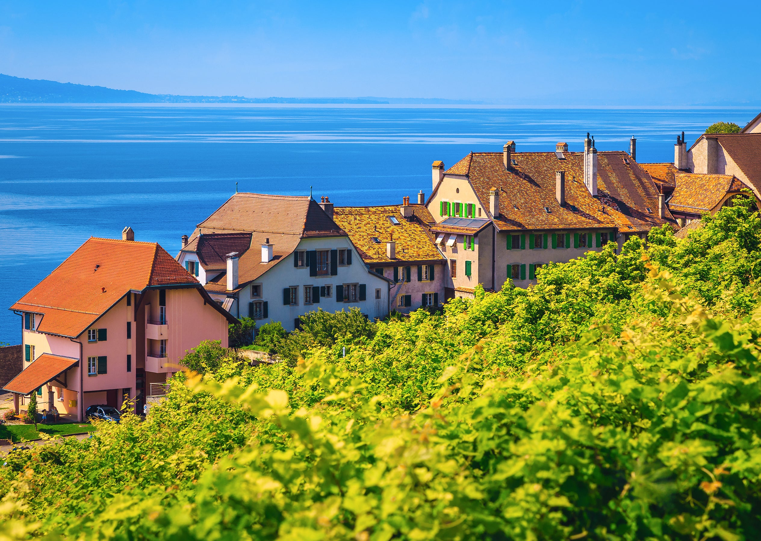 Lavaux #2