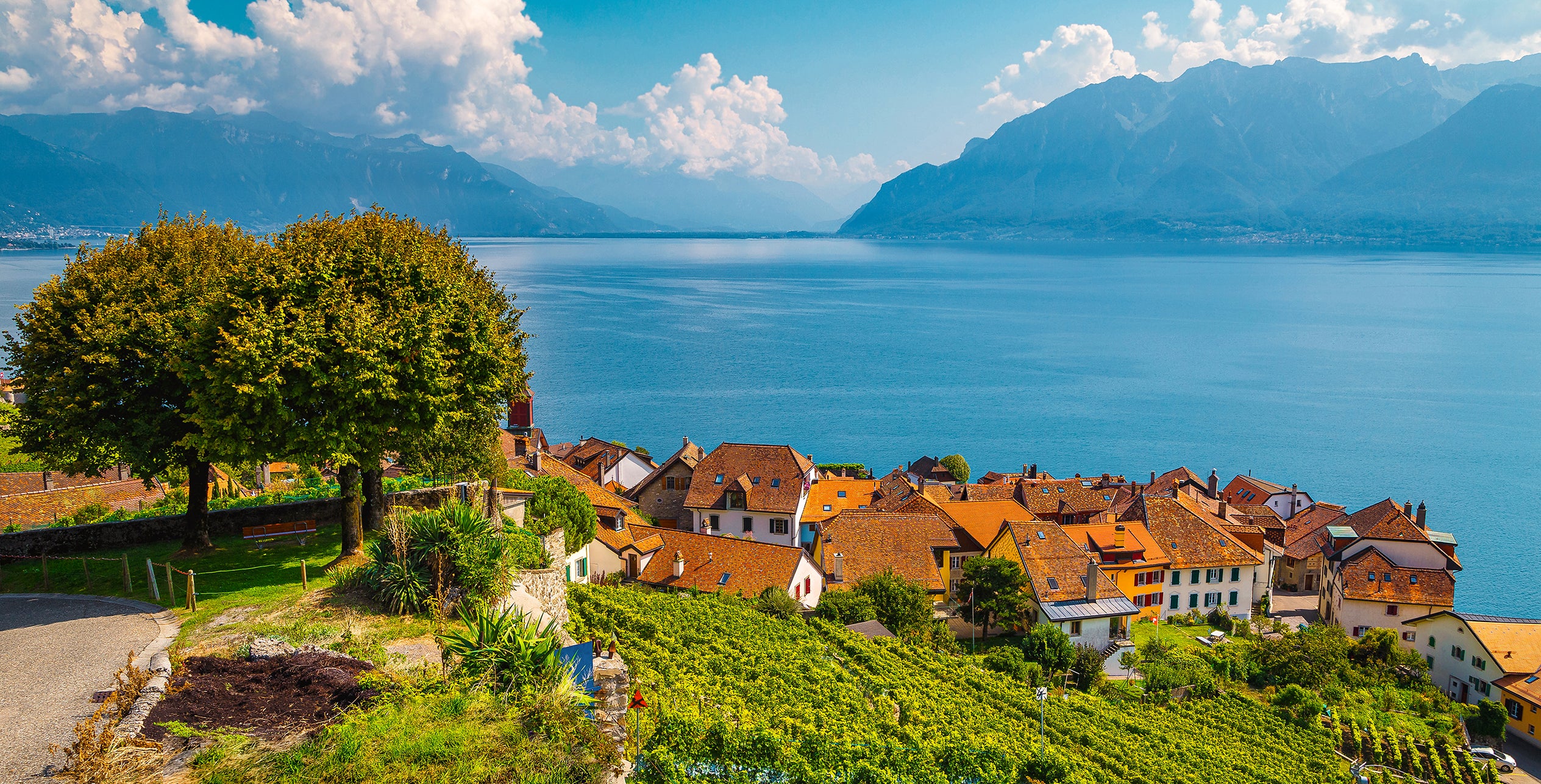 Lavaux #6