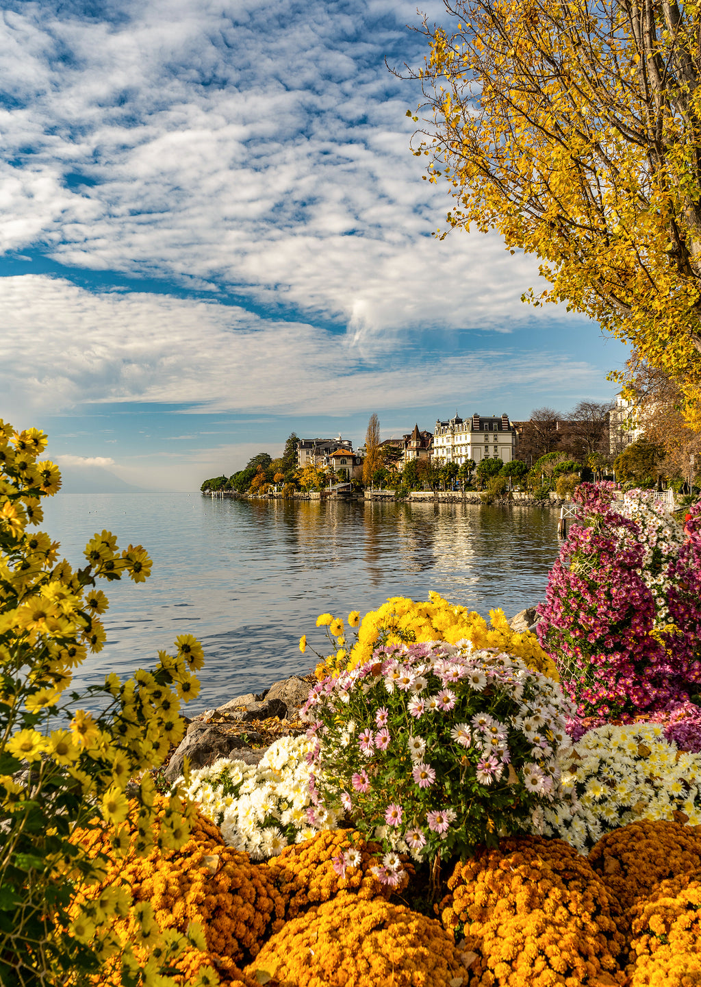 Montreux #2