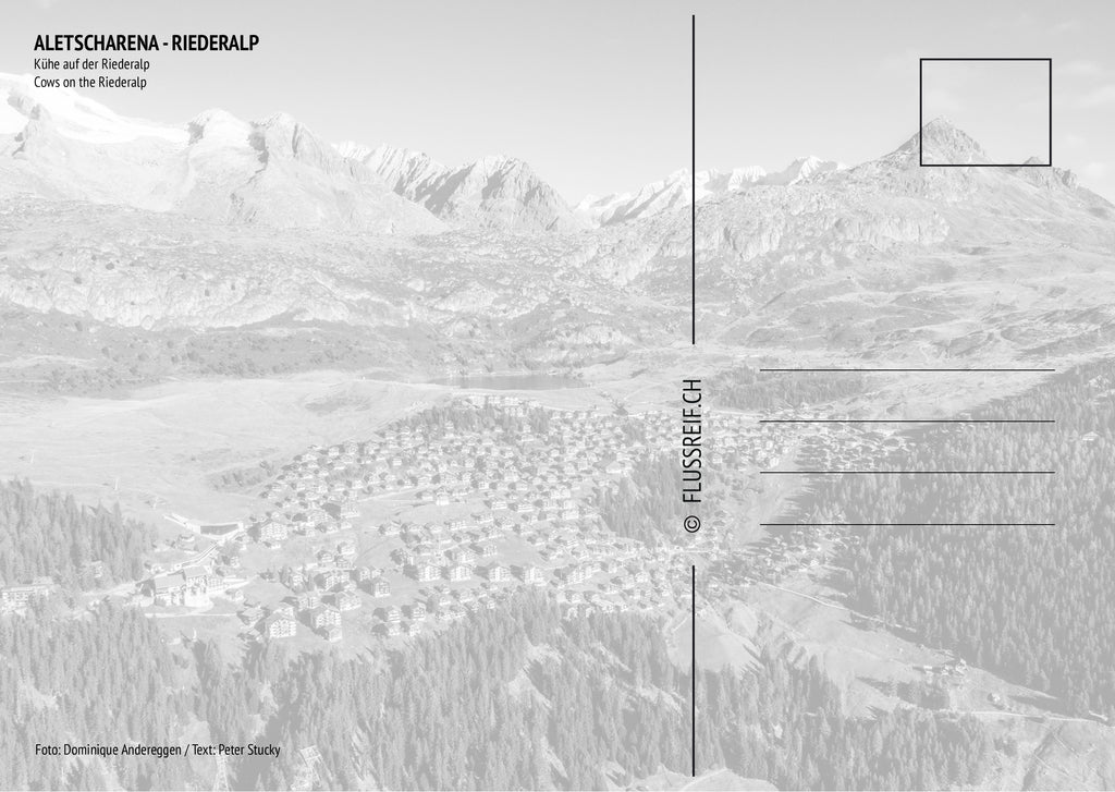 Riederalp #3