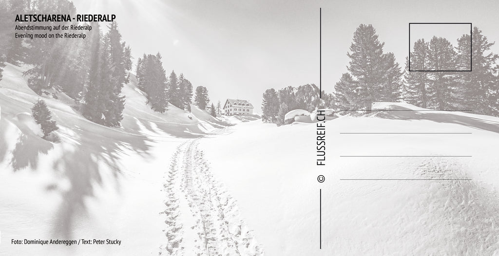 Riederalp #5