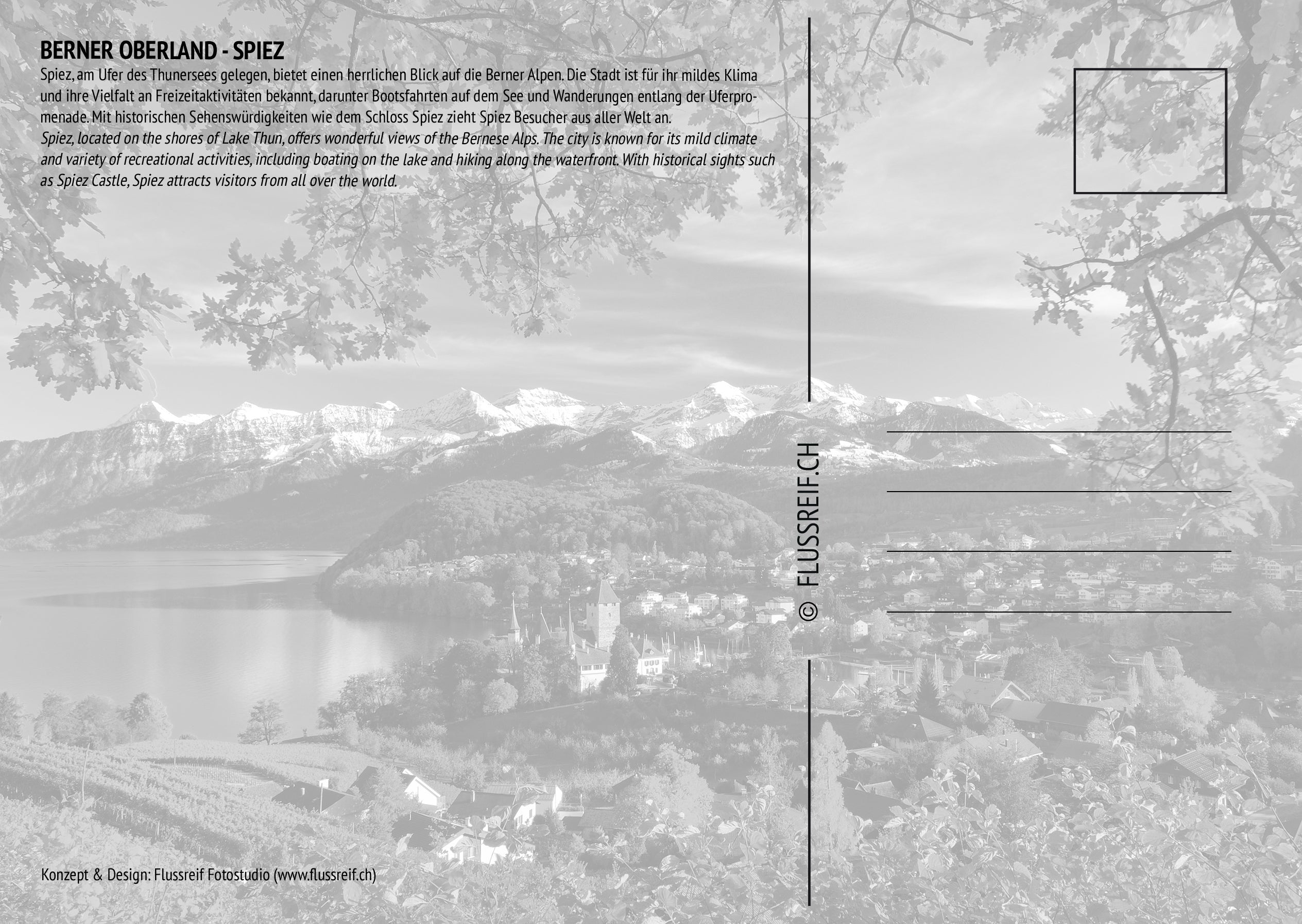Spiez #2