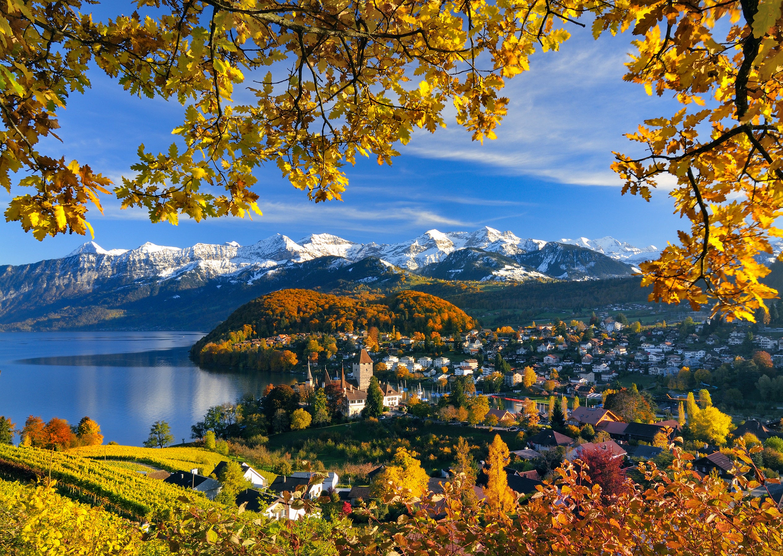 Spiez #2