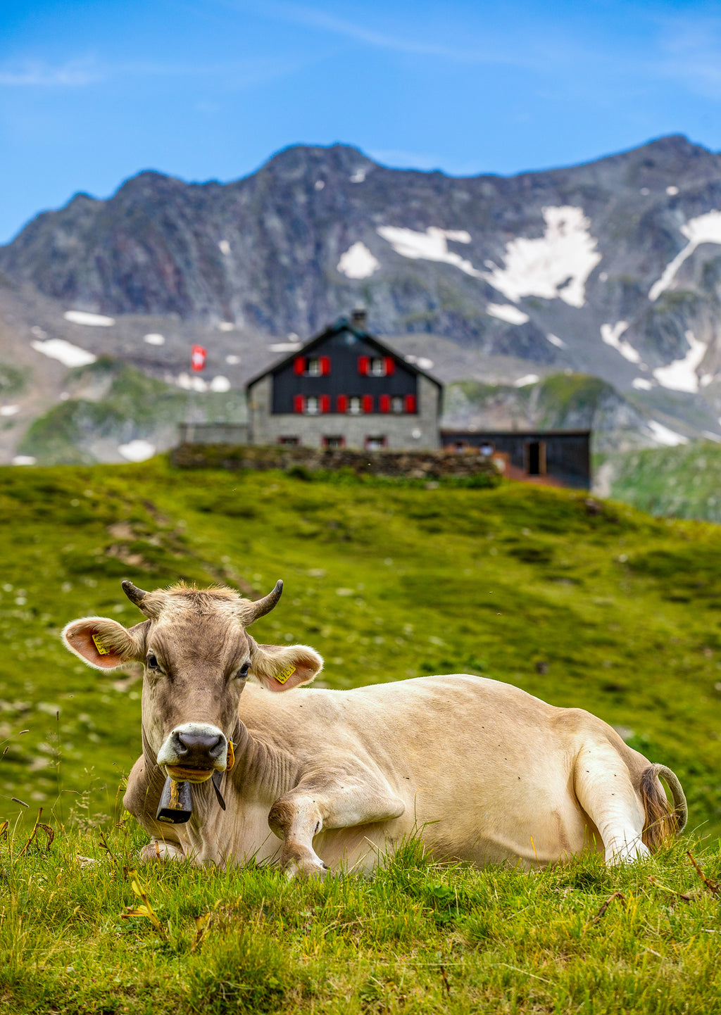 Unteralp #1