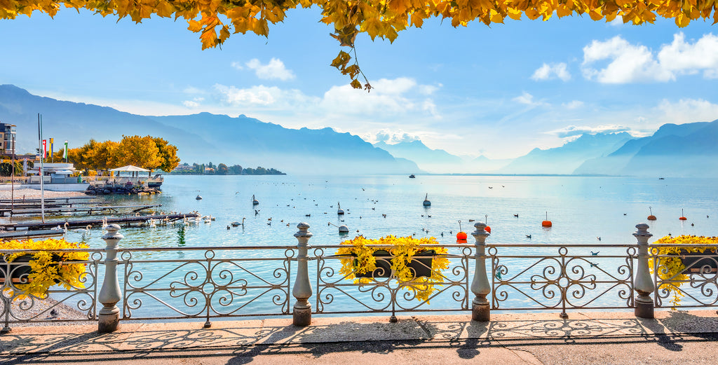 Vevey #1