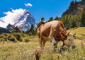 Zermatt #13