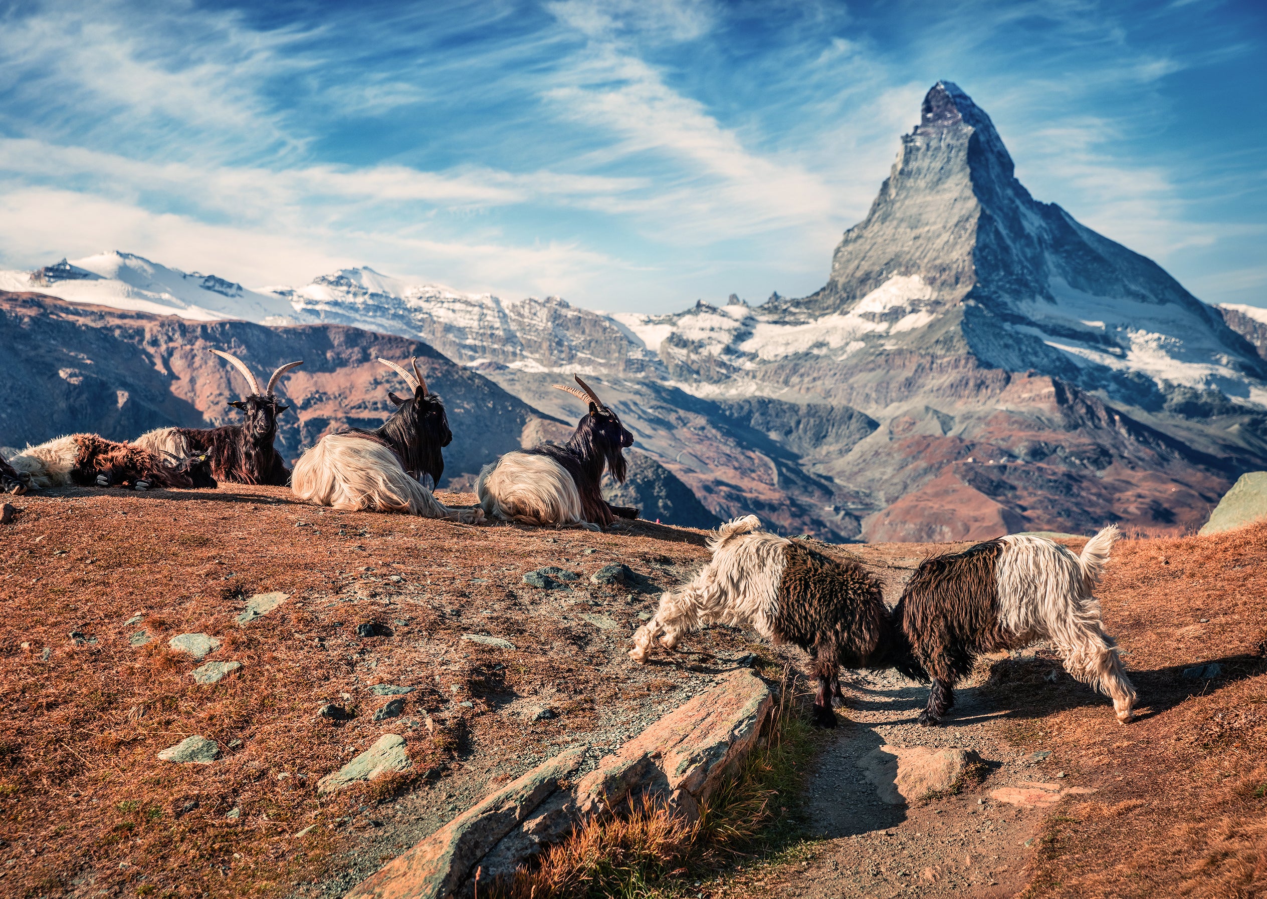 Zermatt #9